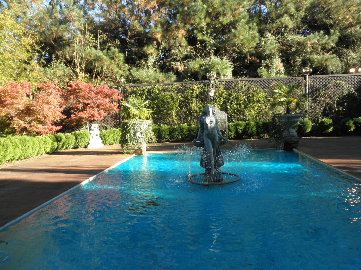 pool ambrosia escort pool ambrosia escort